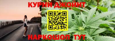 индика Пугачёв