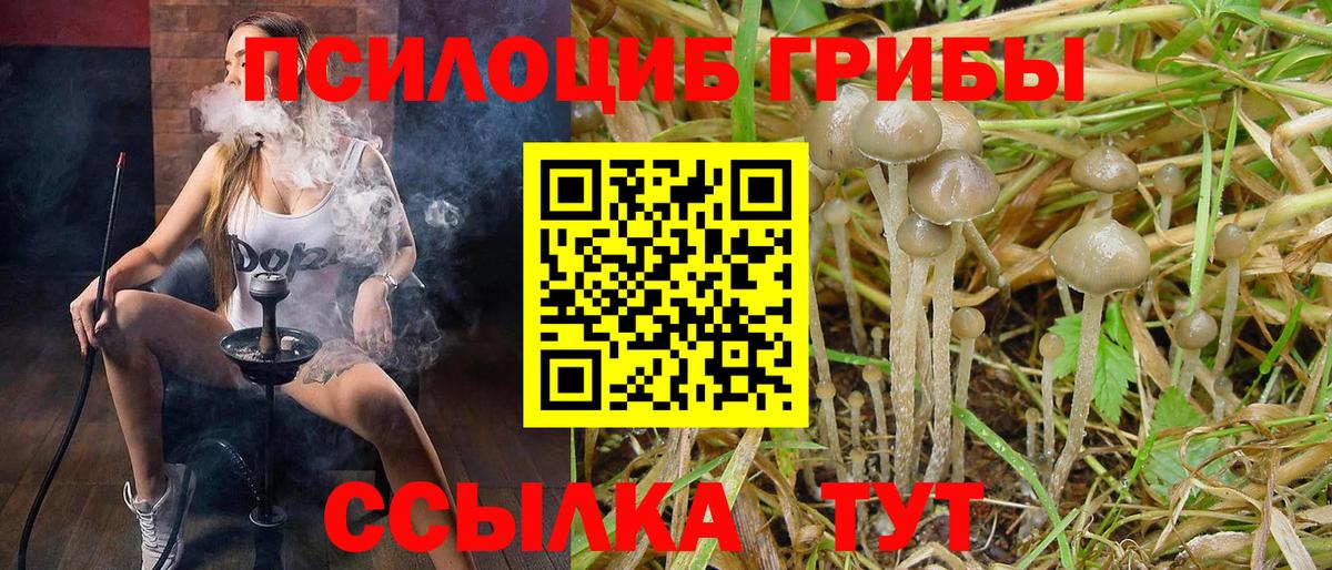 Галлюциногенные грибы мухоморы  хочу   Обнинск  Вход с VPN  Галлюциногенные грибы мицелий 