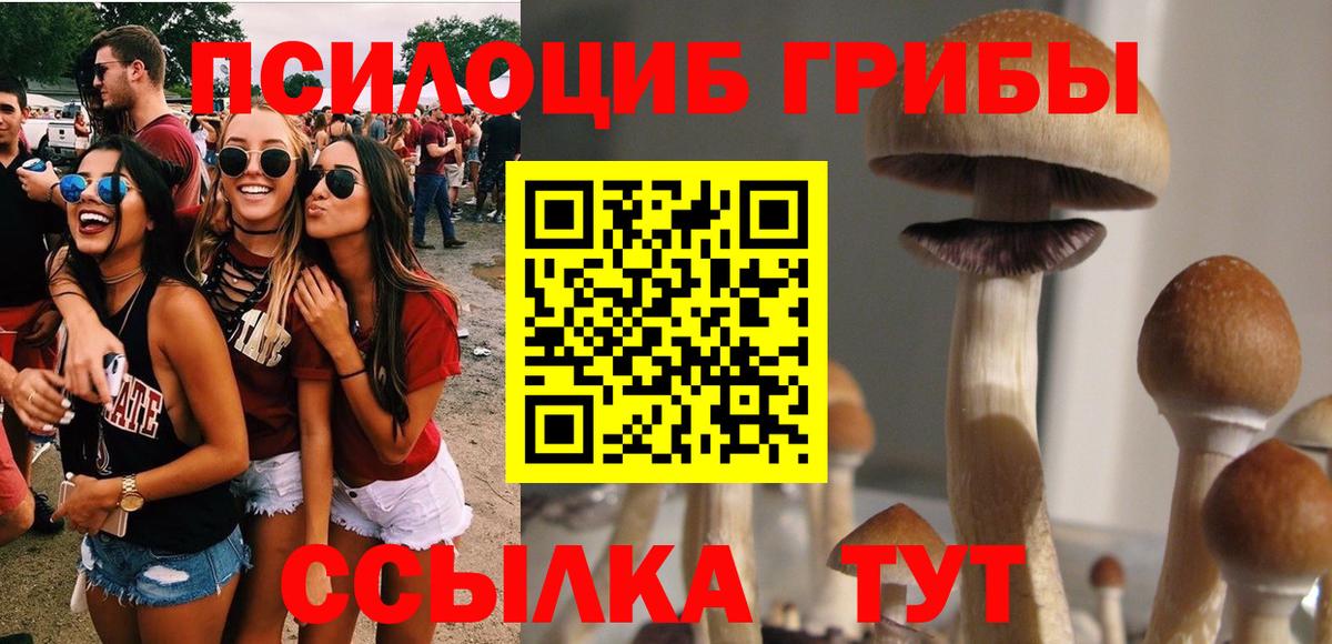 Галлюциногенные грибы Cubensis Обнинск
